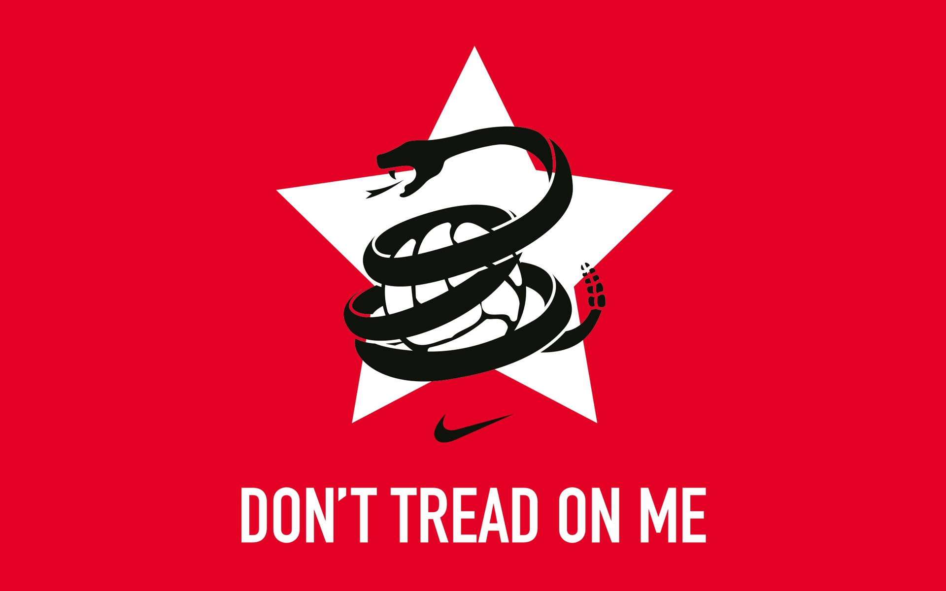 紅色背景上白色星星內的黑色的盤蛇，附有文字「DON'T TREAD ON ME」
