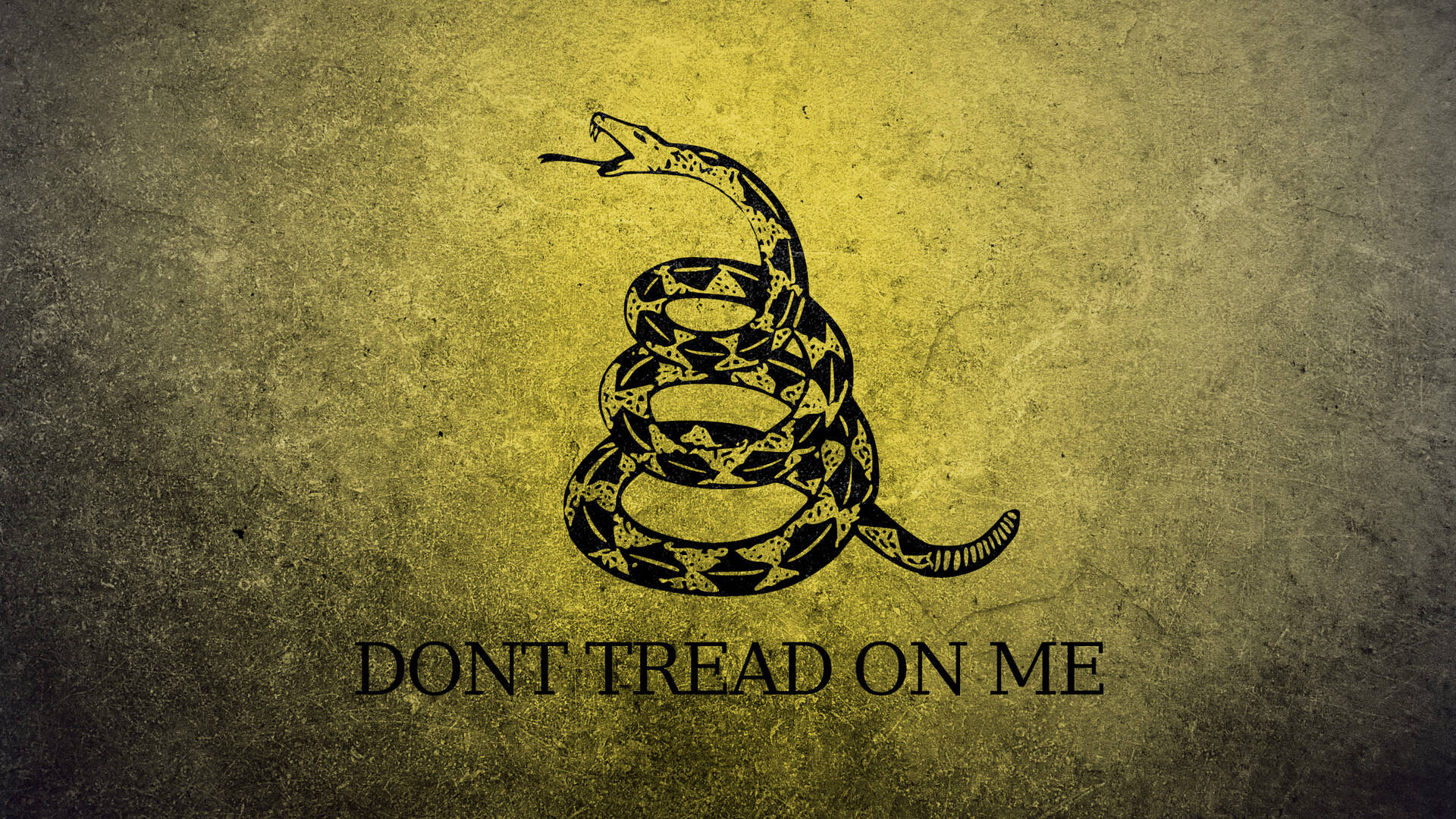 盤繞的黑色響尾蛇張開嘴巴，背景帶紋理，並帶有文字「DONT TREAD ON ME」。
