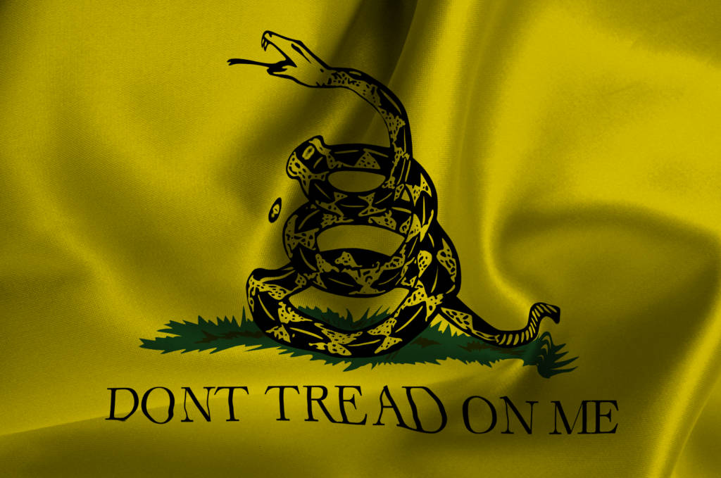 黃色旗幟上盤繞的響尾蛇及 dont tread on me 文字。