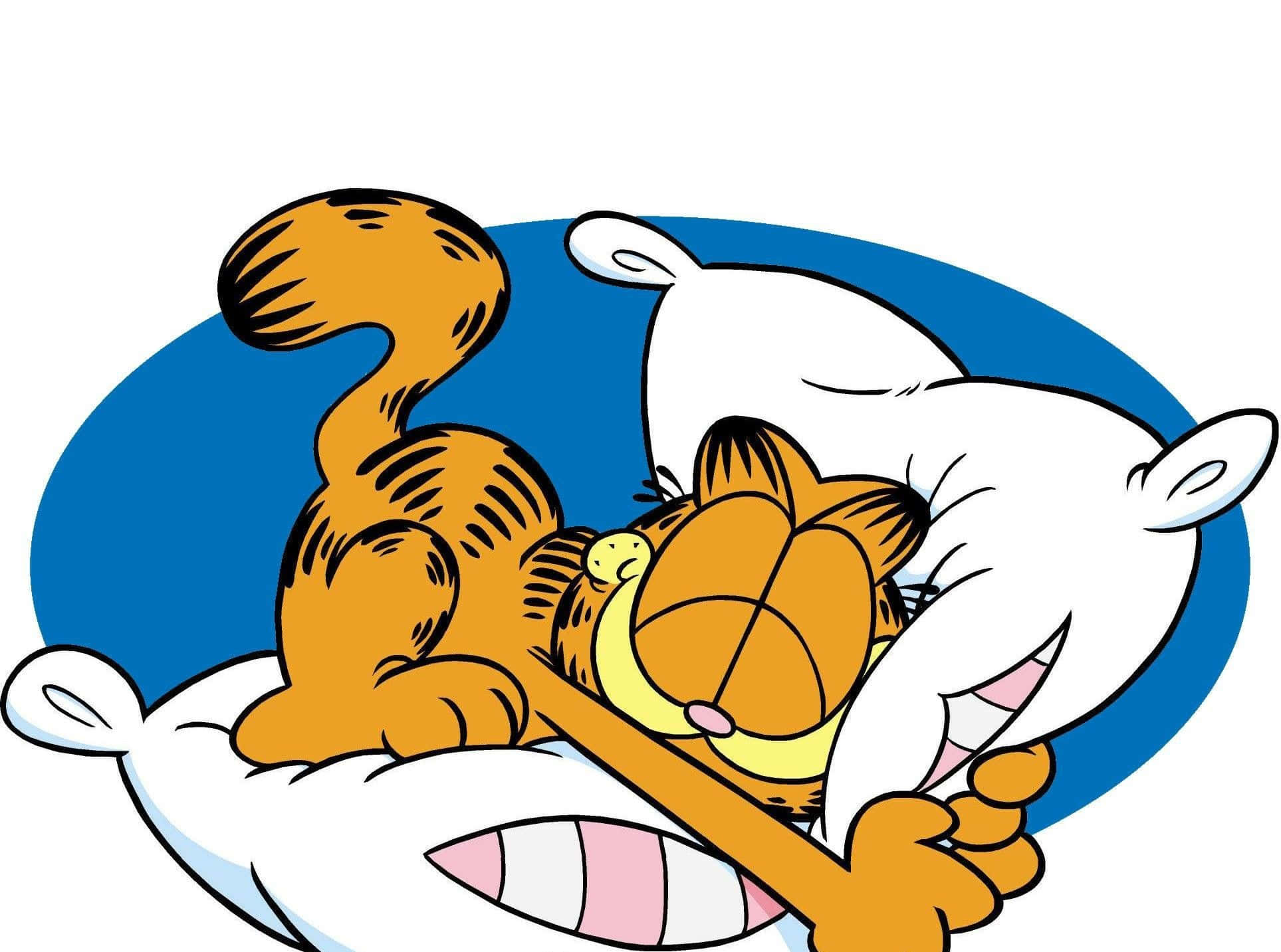 Sleep 桌布 壁紙 — 加菲貓，這隻橙色虎斑貓，在一個藍色橢圓背景的白色枕頭上安睡。