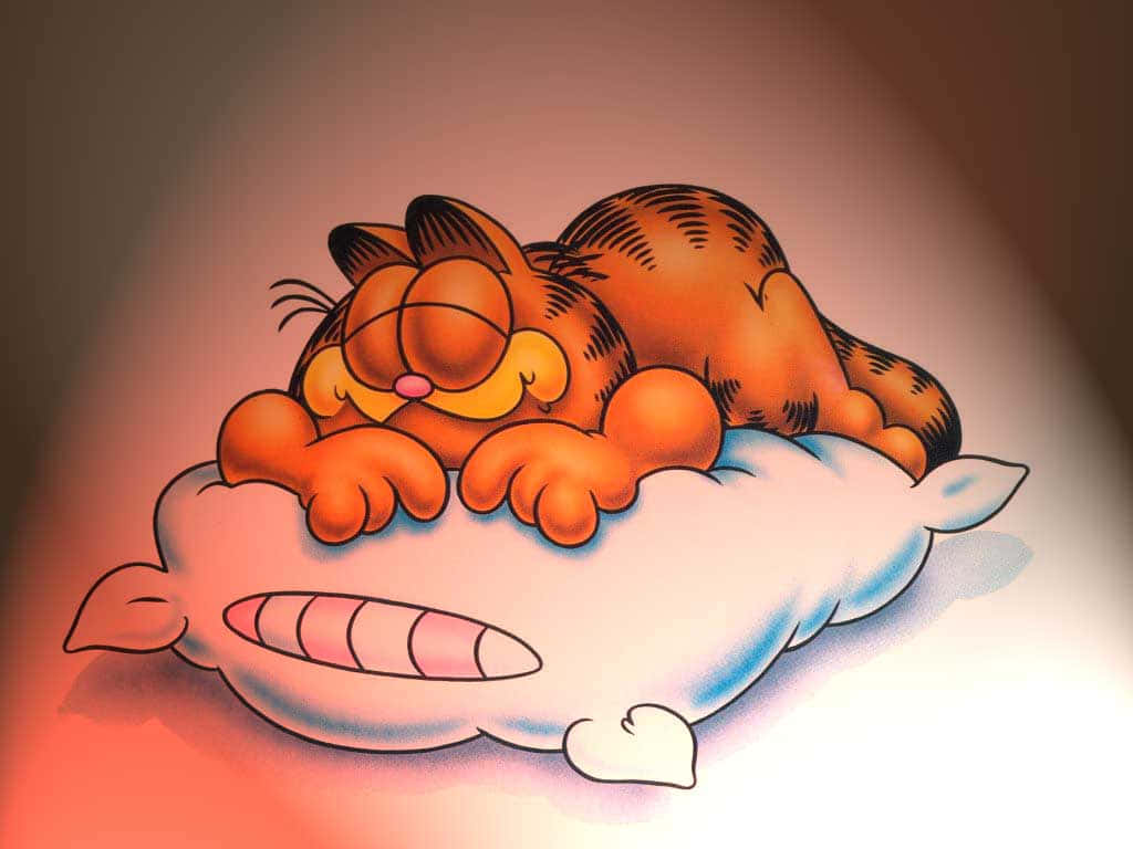 Sleep 桌布 壁紙 — 加菲貓，這隻橙色虎斑貓，在柔軟的白色枕頭上安睡，背景帶有柔和漸變效果。