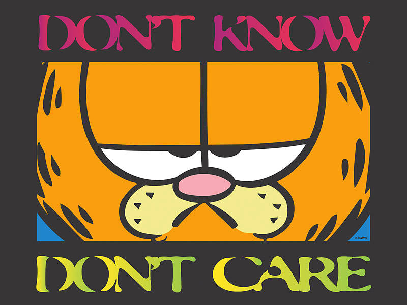 加菲貓卡通臉孔，附有「DON'T KNOW DON'T CARE」文字