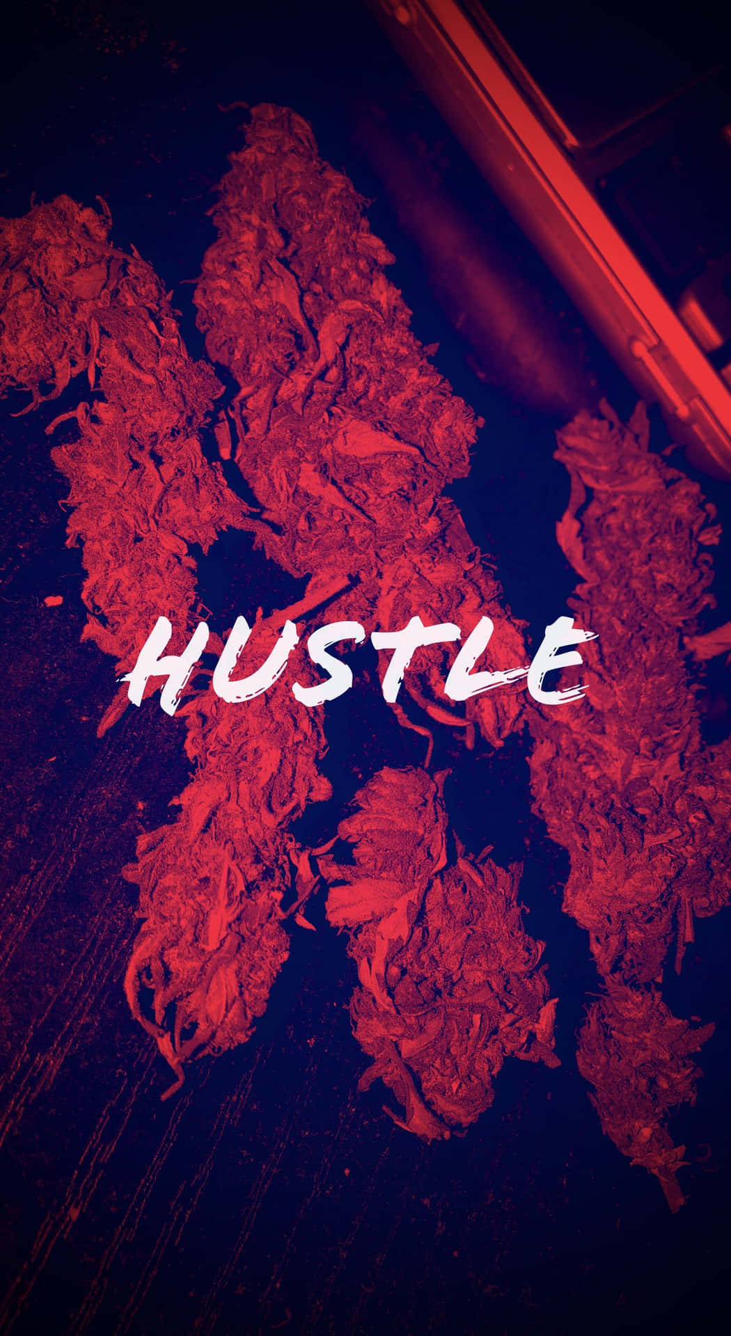 霓虹燈下的紅色大麻花蕾，疊加 'HUSTLE' 字樣。