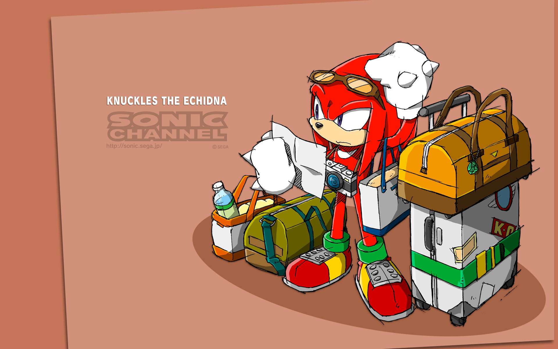 動感十足的 Knuckles the Echidna 壁紙 — 納克魯斯站在純蜜桃色背景前，被色彩繽紛的行李和旅行裝備包圍。