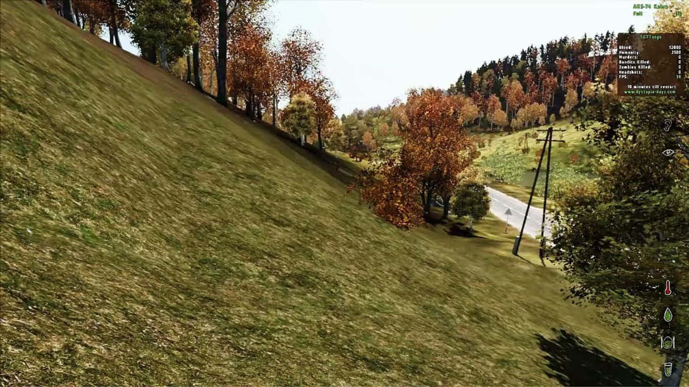 動態遊戲 brilliance：DayZ Epoch Mod 背景 壁紙 — 一條蜿蜒的道路穿過長滿青草的山坡，兩旁種滿了秋樹，天空明亮。