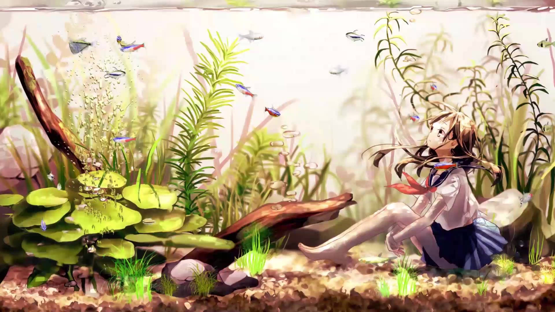 動漫少女在水族館 壁紙 — 一個穿著校服的女孩在陽光照射的水族館中，平靜地坐在水生植物和色彩繽紛的魚群之間。