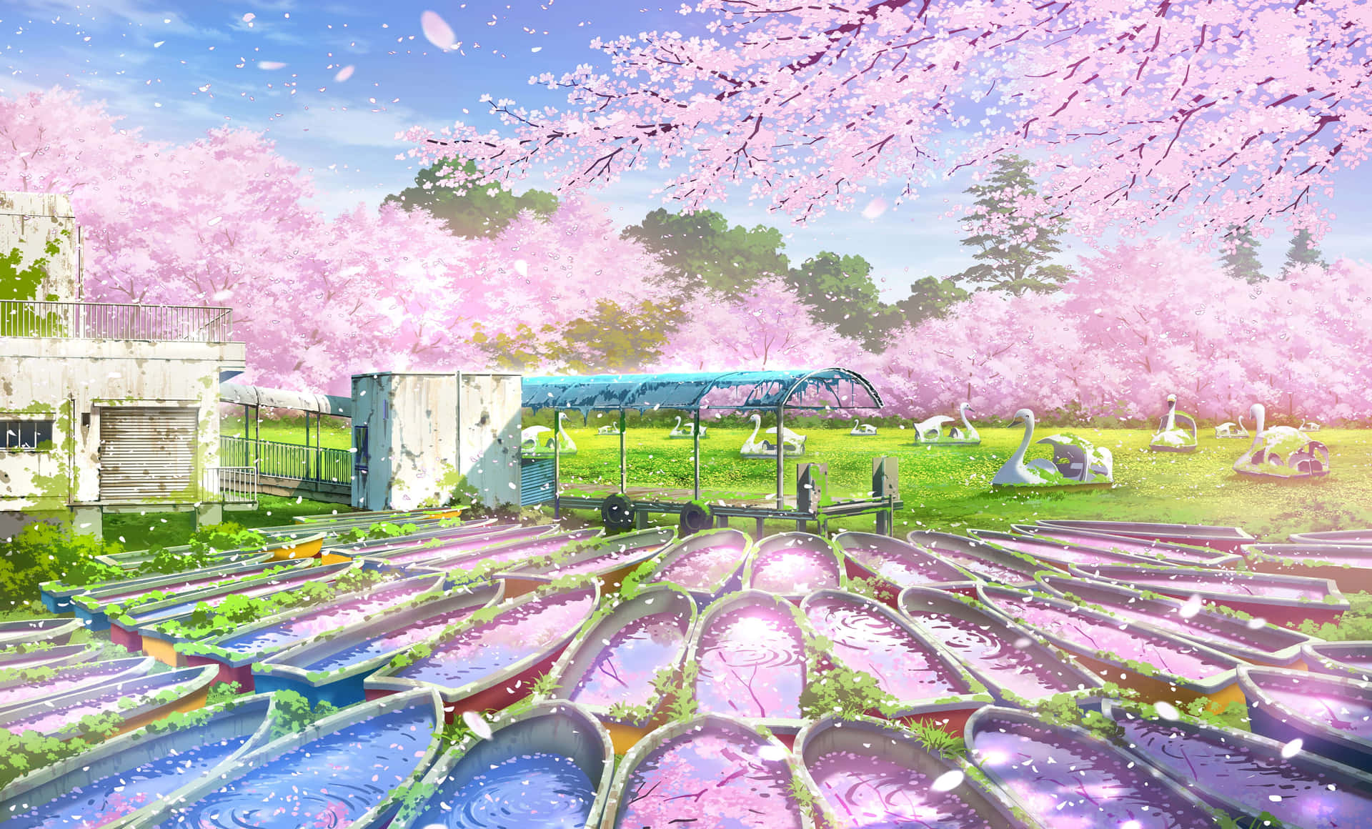 動漫櫻花不忍池公園背景 壁紙 — 粉紅色的櫻花如雨般落在色彩繽紛的划艇場上，天空湛藍。