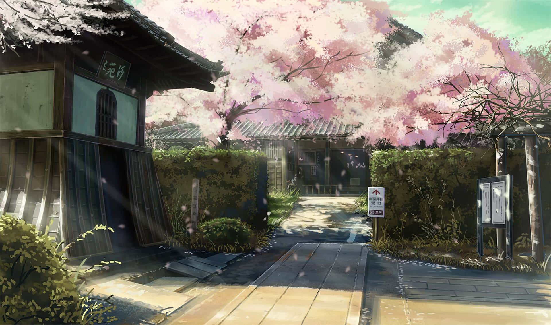 動漫櫻花神社入口背景 壁紙 — 一條寧靜的日本花園小徑，兩旁種滿盛開的櫻花，傳統木結構建築在柔和陽光下。