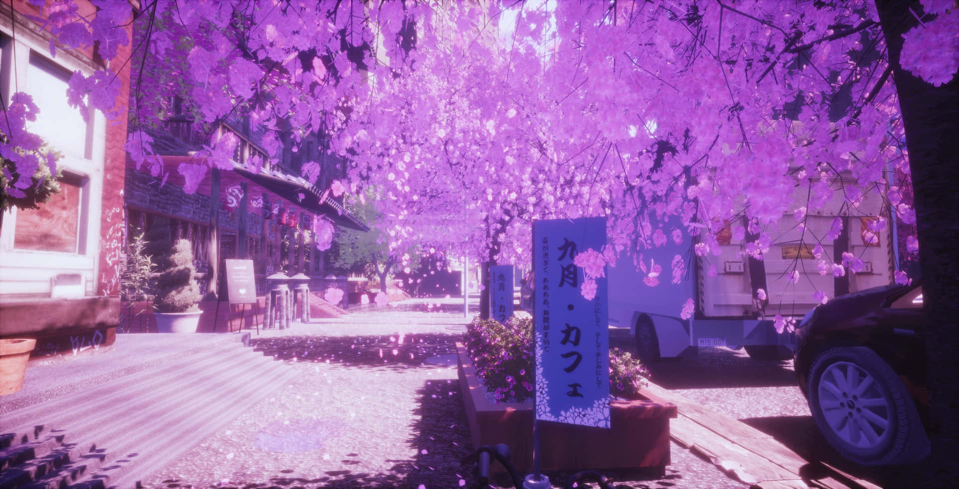 動漫櫻花車輛街景背景 壁紙 — 一條被紫色櫻花淹沒的街道，花瓣飄落，花冠下有一個咖啡館招牌。