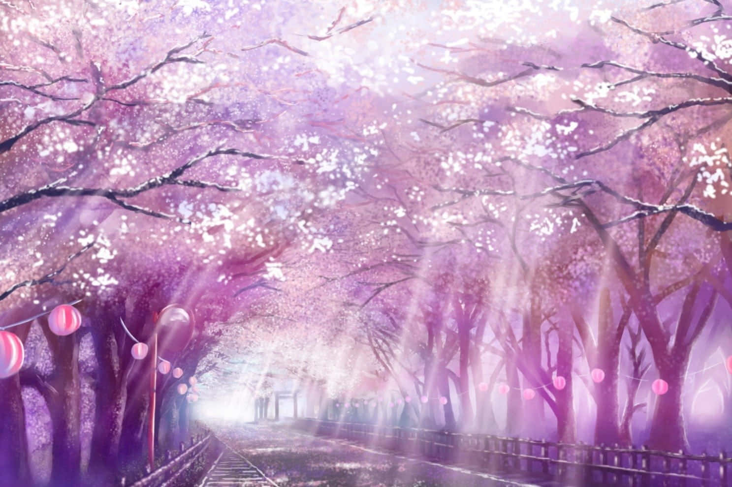 動漫櫻花陽光灑落背景 壁紙 — 一條寧靜的動漫風格小徑，兩旁盛開的櫻花樹在柔和的紫色光芒中閃爍，掛著燈籠。