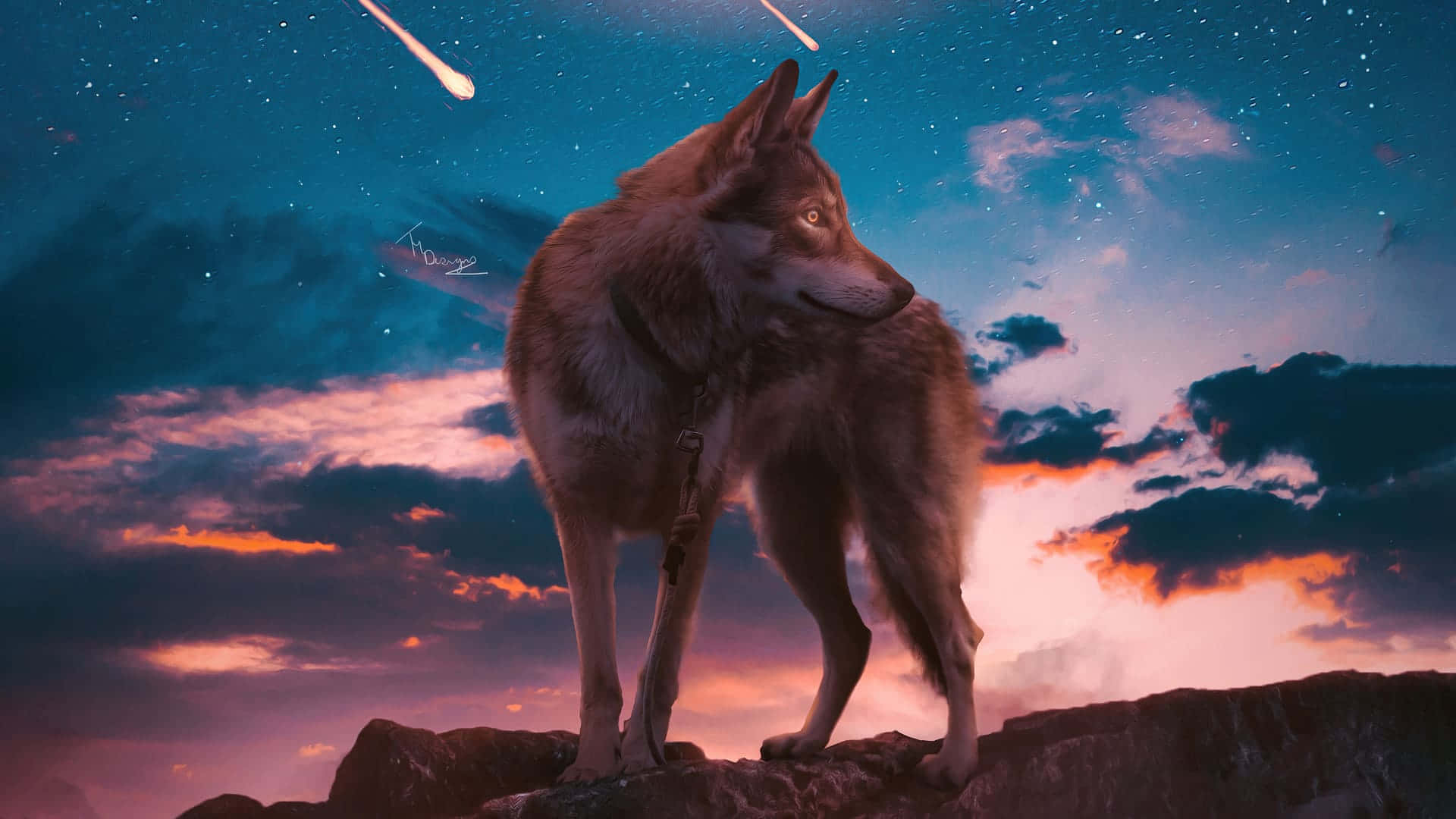 一頭狼在懸崖上觀看流星在暮色天空中墜落。