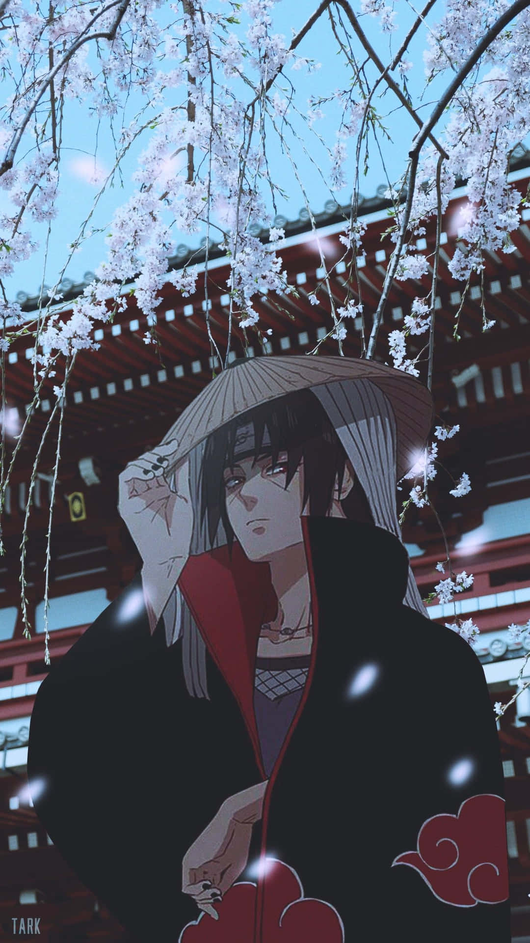 Akatsuki Hat 桌布 壁紙 — 動漫角色在櫻花下撐傘，靠近傳統紅色寺廟。