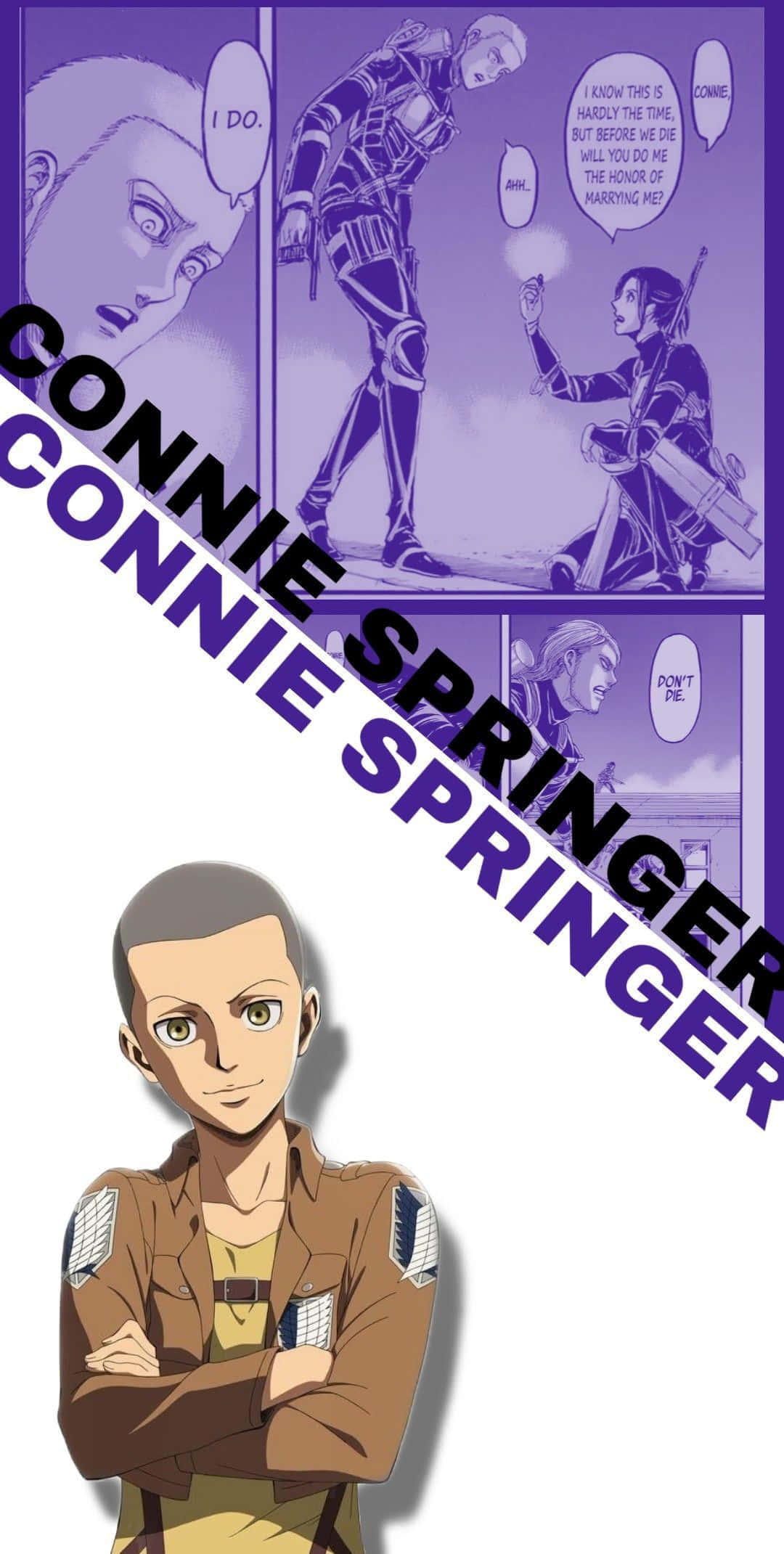 Connie Springer 桌布 壁紙 — 動漫角色康妮·史賓格穿著棕色制服交叉雙臂，下方是展示他行動的漫畫格。