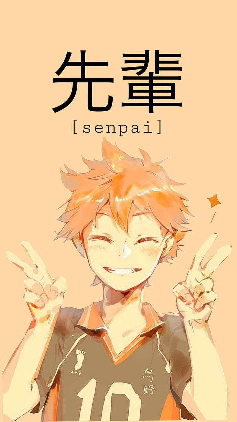 排球少年 桌布 壁紙 — 動漫角色擁有尖刺橙色頭髮，在溫暖的桃色背景中燦爛微笑並做出和平手勢。