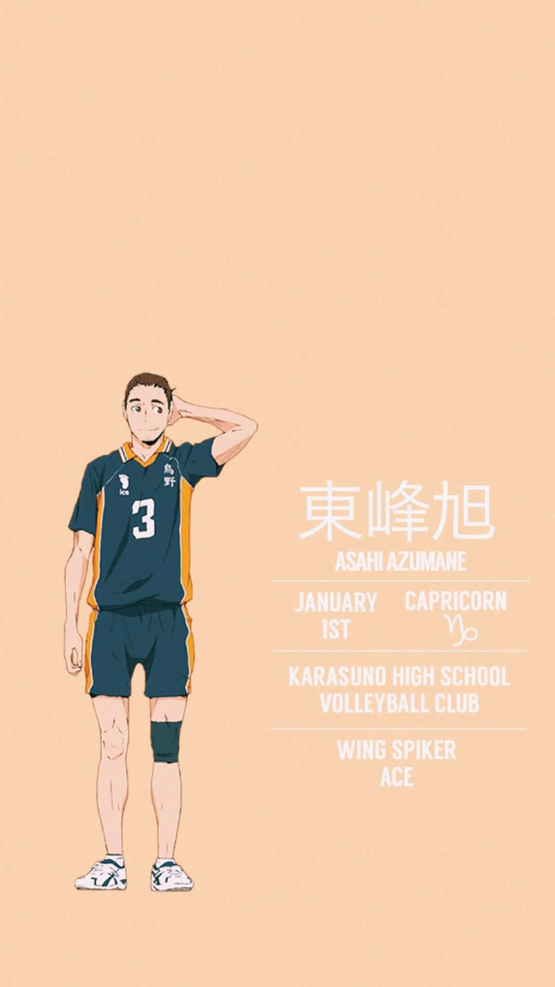 Asahi Azumane 桌布 壁紙 — 動漫角色東峰旭穿著烏野高中排球制服，在柔和蜜桃背景前敬禮，附有統計文字。