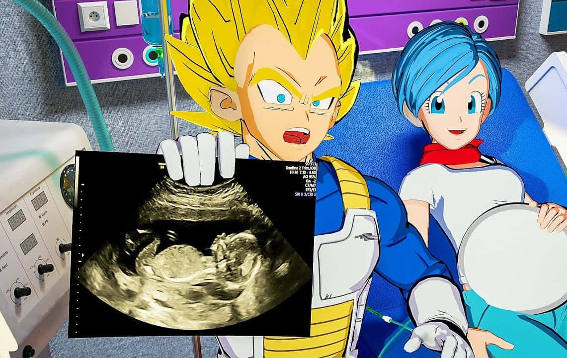 Vegeta's Family 桌布 壁紙 — 動漫角色比達和布瑪在醫院床上拿著胎兒的超聲波圖像。