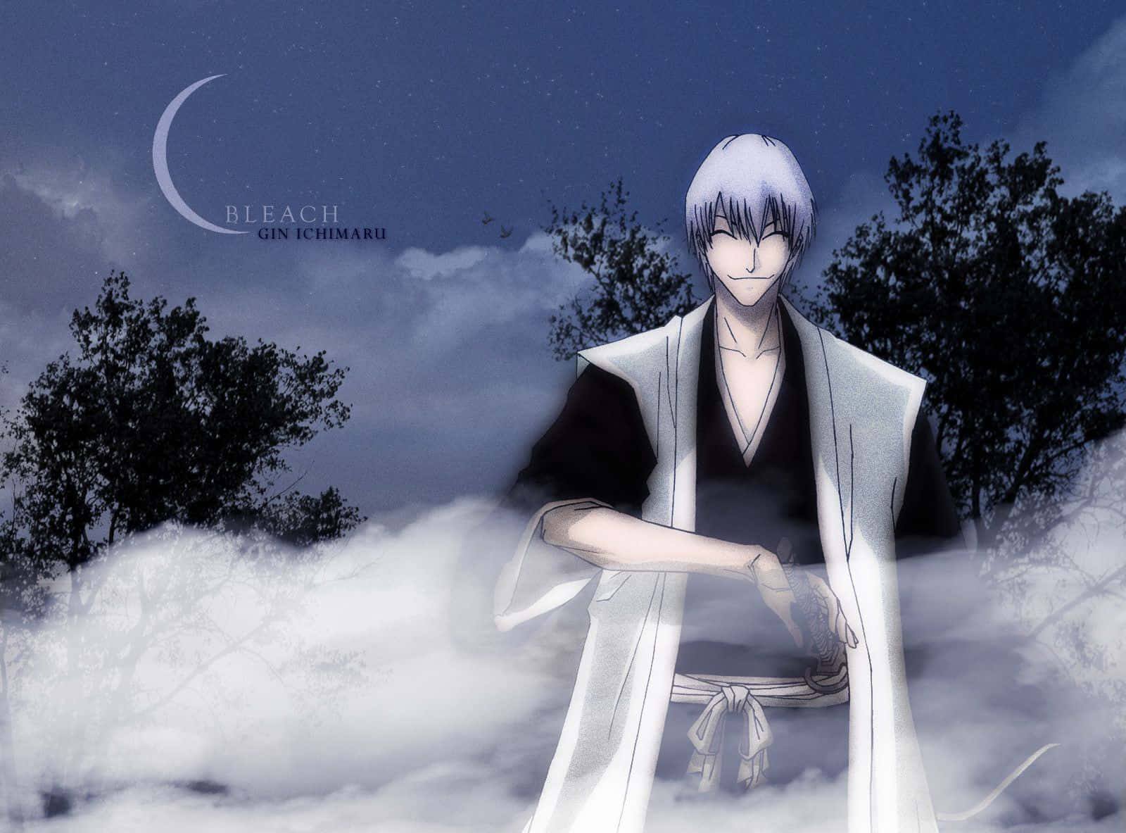 Gin Ichimaru 桌布 壁紙 — 動漫角色銀市丸在月光下的森林中靜靜站立，周圍環繞著薄霧和黑暗的樹木，上方是一彎新月。