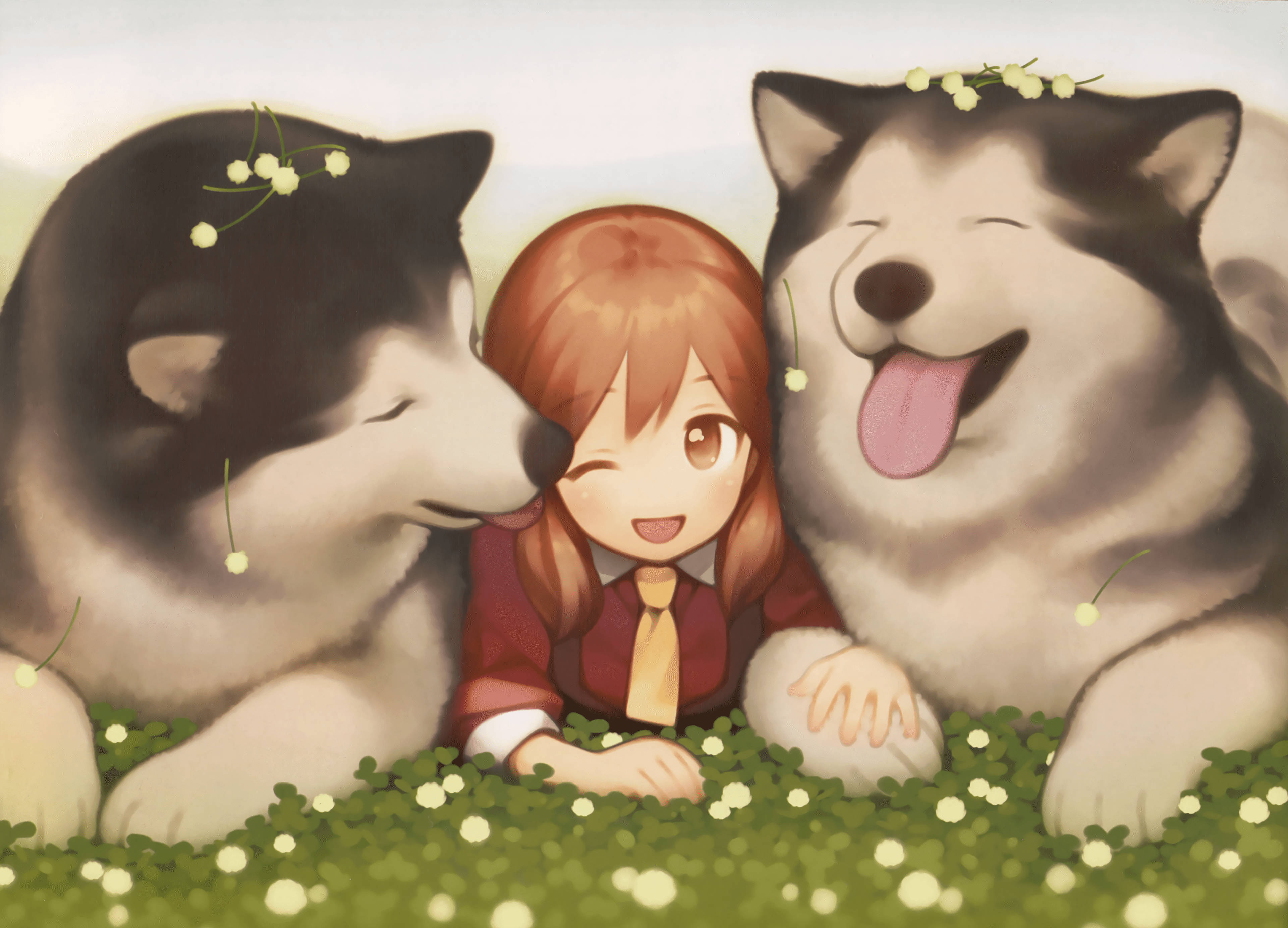 動漫阿拉斯加雪橇犬 壁紙 — 一個開心的動畫女孩，橙色頭髮，愉快地坐在兩隻微笑的哈士奇之間，在一片白色花田中。