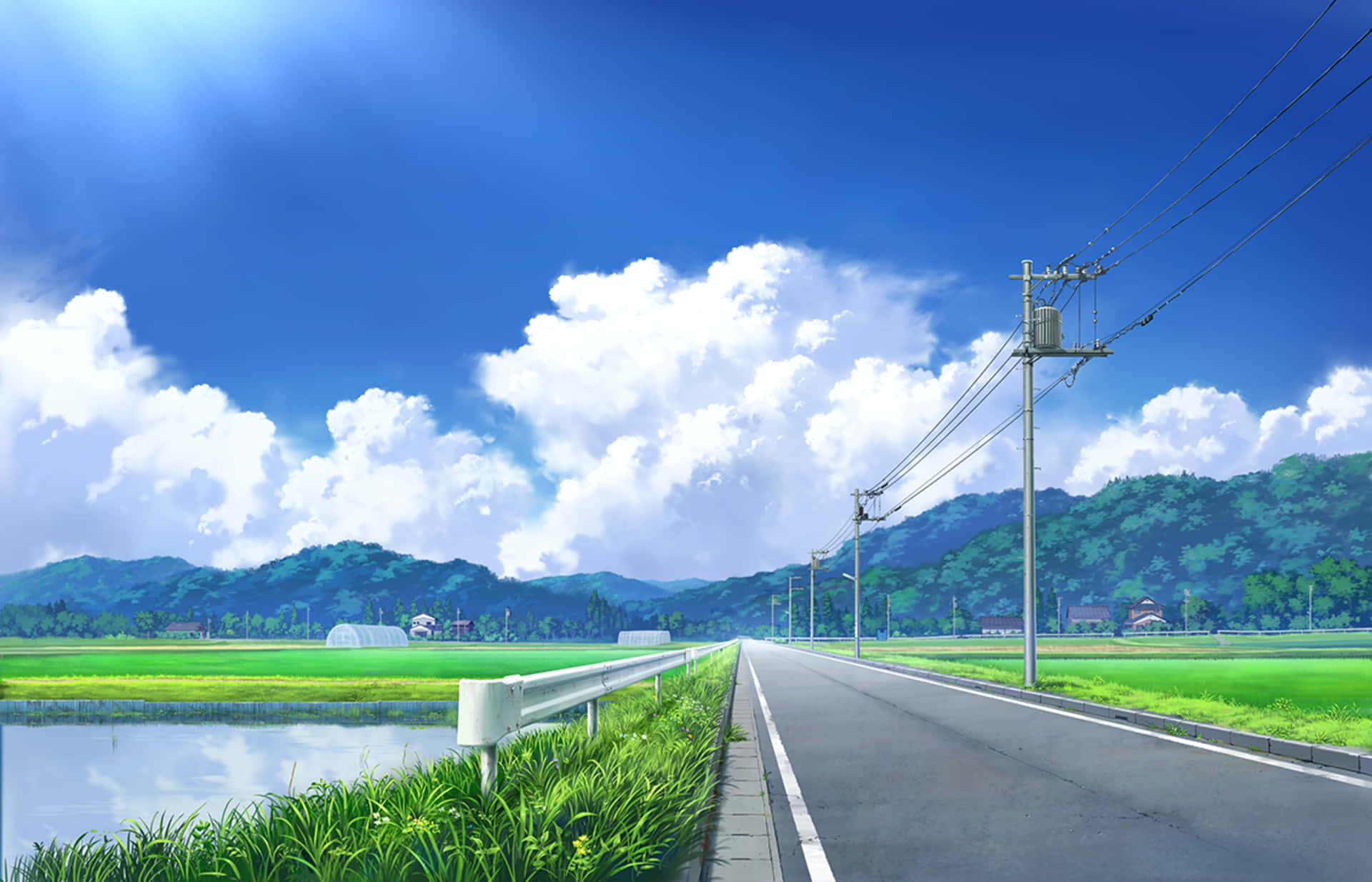 一條筆直的道路在明亮的藍天白雲下穿過茂密的綠色稻田。