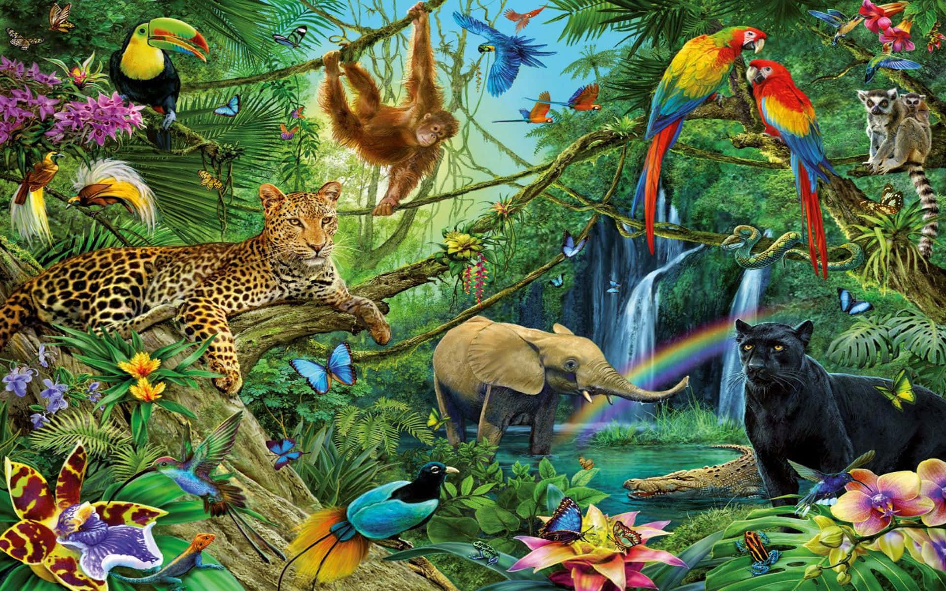動物背景 壁紙