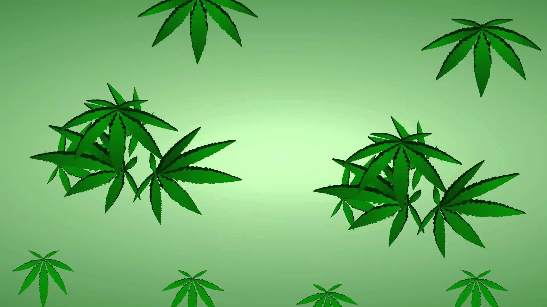 在綠色漸變背景上漂浮的大麻葉。