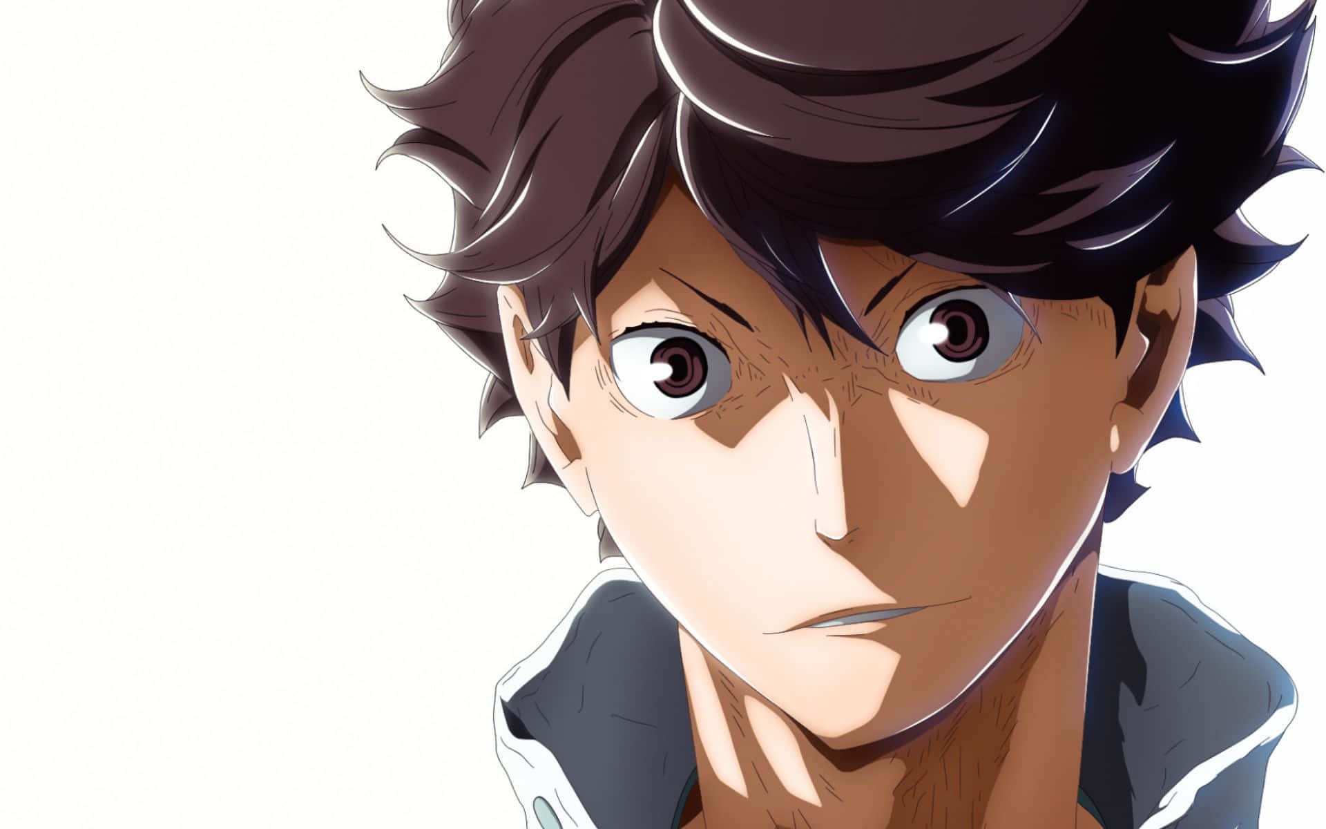 iwaizumi hajime 桌布 壁紙 — 動畫男性角色特寫，擁有強烈的棕色眼睛和尖刺的深色頭髮，背景為純白色。