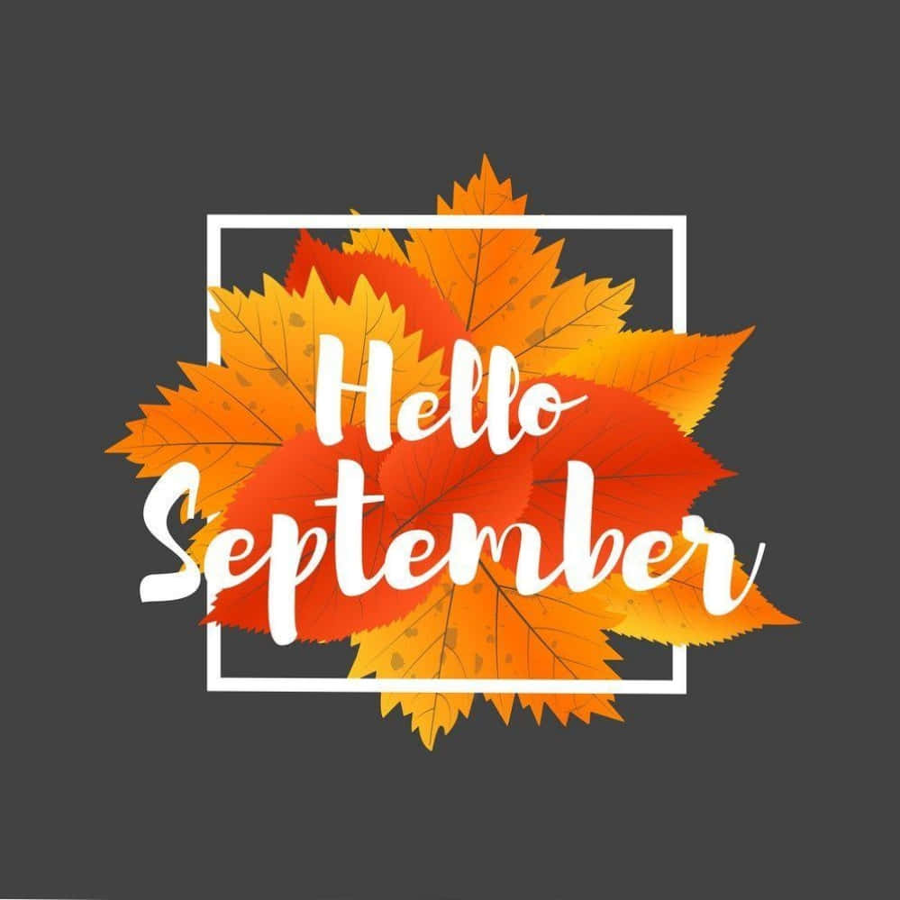 Hello September 文字被色彩繽紛的秋葉包圍在白色邊框中。