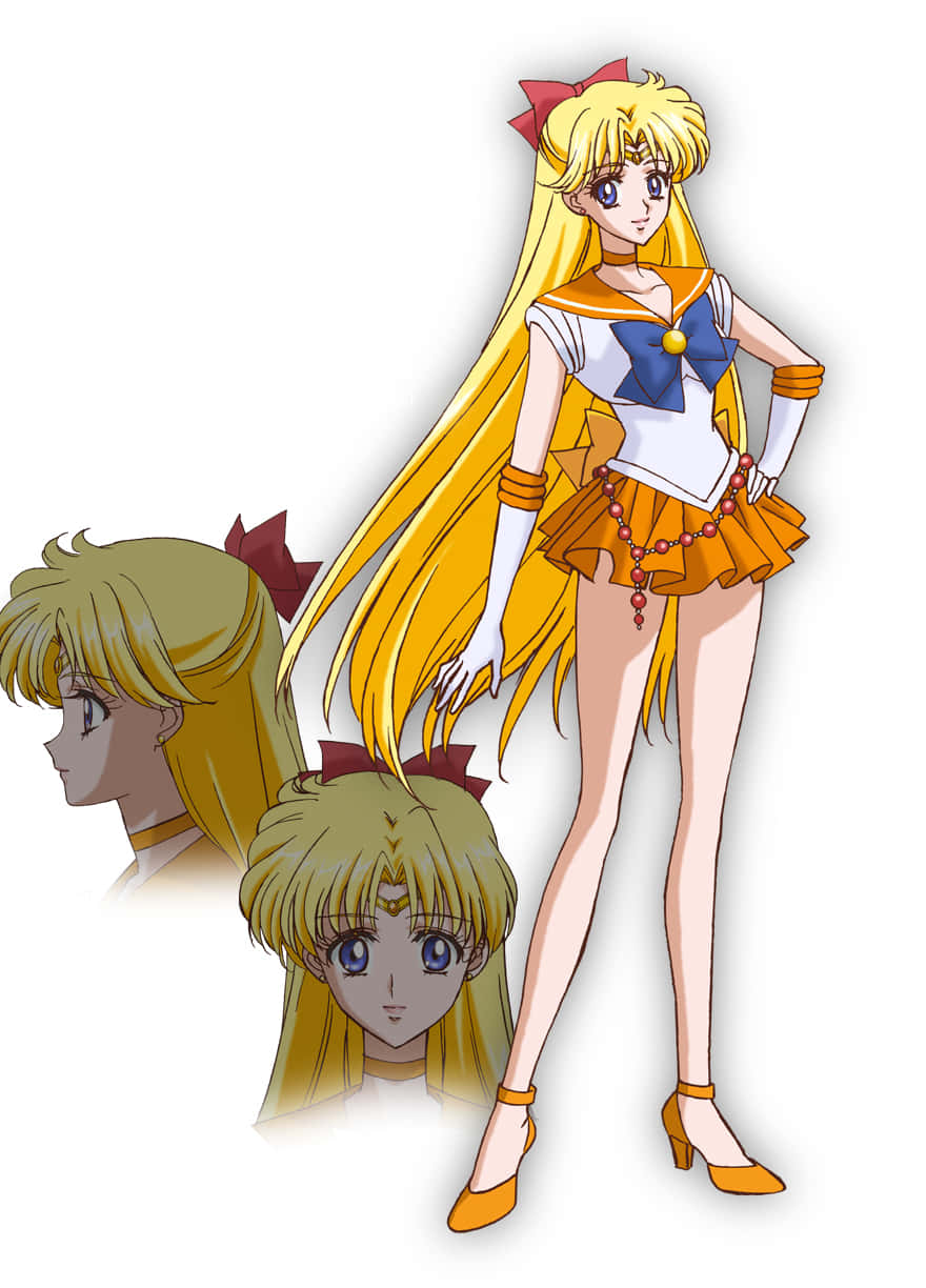Sailor Venus 桌布 壁紙 — 動畫角色 Sailor Venus 自信地站立，身穿橙色和白色的水手服，長長的金色頭髮和紅色蝴蝶結。