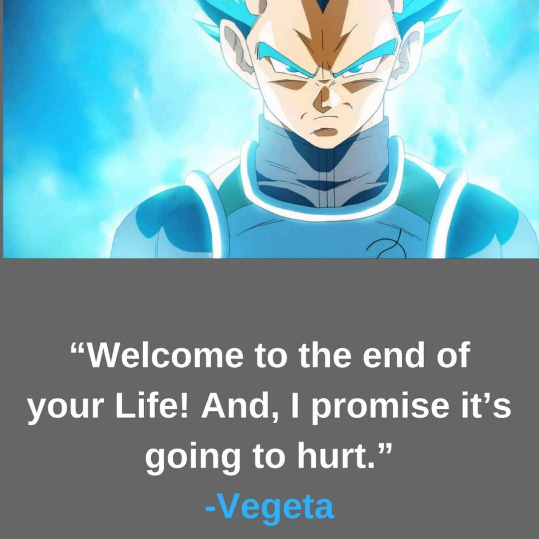 Vegeta Quotes 桌布 壁紙 — 動畫角色比達身穿藍色盔甲，散發著發光的氣場，在明亮的藍天背景下強烈凝視。