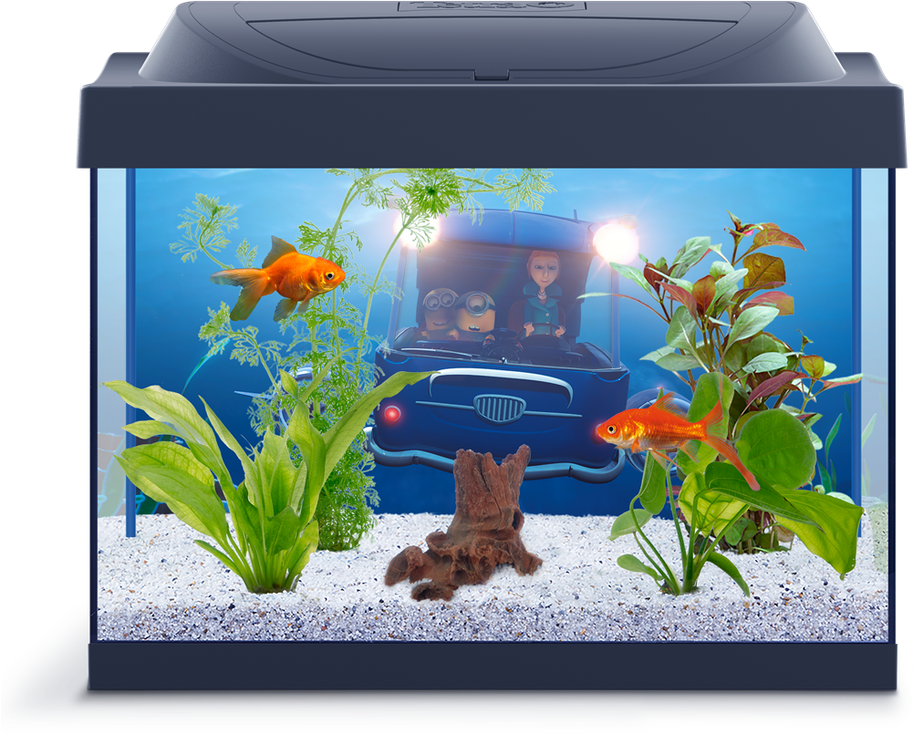 動畫角色水族箱場景 壁紙 — 兩條金魚在魚缸中游過綠色植物和浮木，背景有卡通車和迷你兵團。