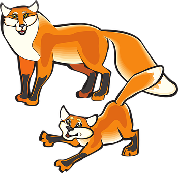 動畫風格狐狸插圖 壁紙