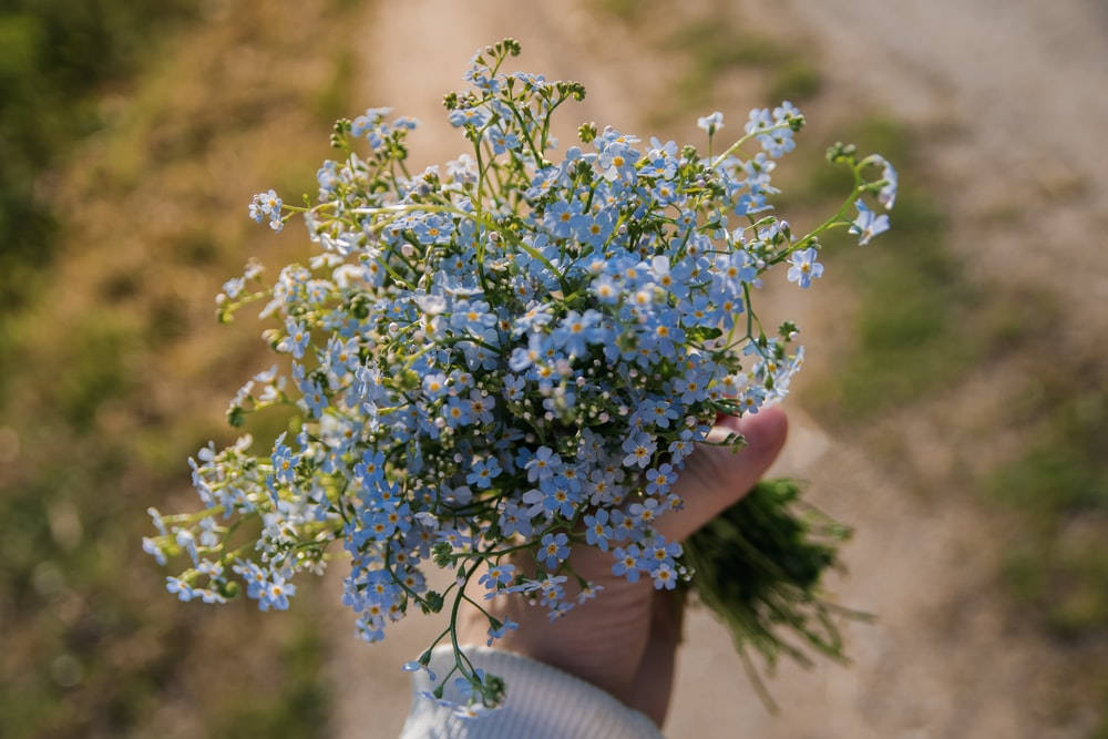 勿忘我花束 壁紙 — 一隻手拿著一束細小的藍色勿忘我，背景是陽光照射的泥路。