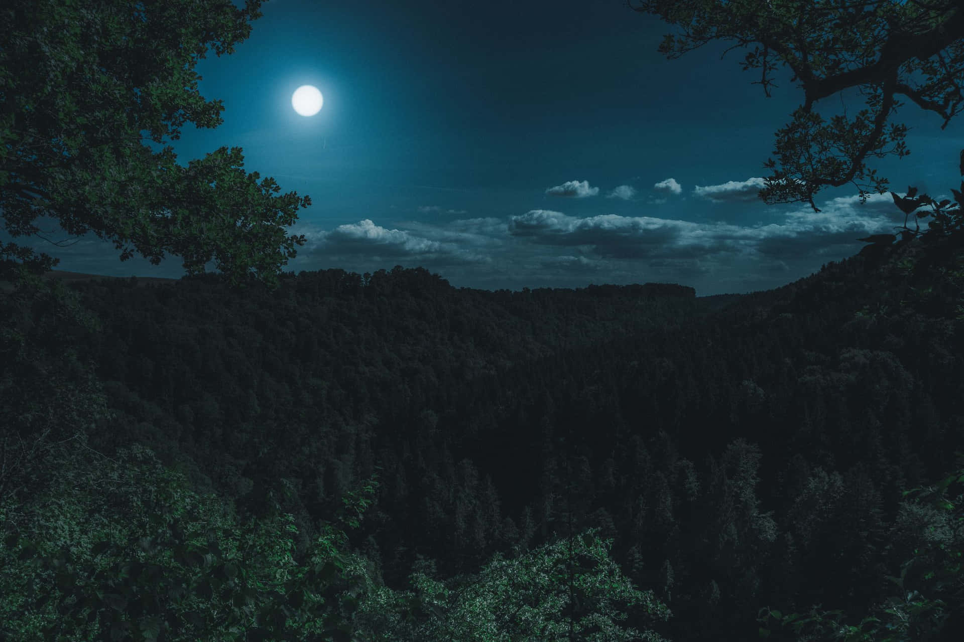 多雲夜空下，樹枝環繞的月光照耀森林山谷。