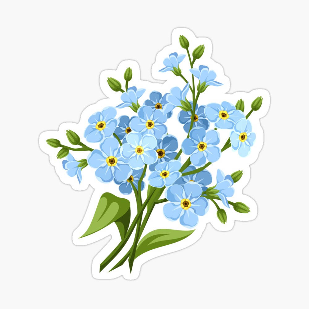 勿忘我花貼紙 壁紙 — 一束鮮豔的淺藍色勿忘我，帶有黃色花心和綠色莖，襯托在潔白的背景上。