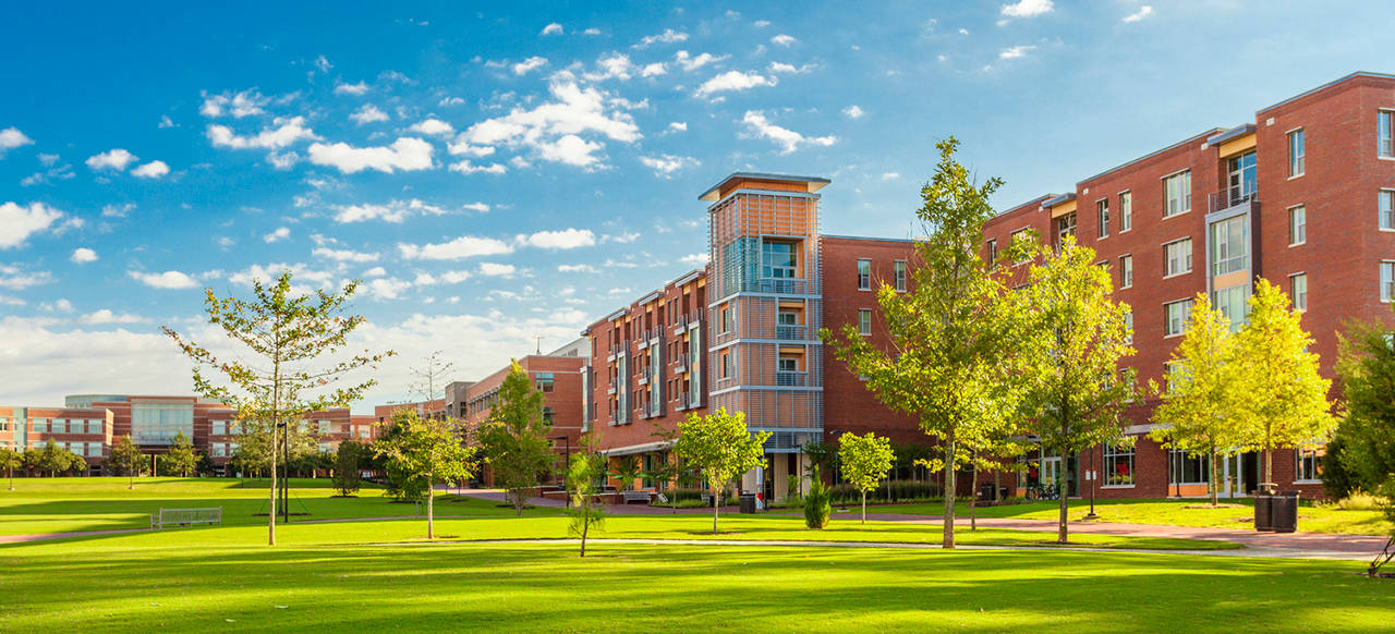 北卡羅來納州立大學狼嶺公寓 壁紙 — 陽光普照的紅磚大學建築矗立在充滿活力的綠色草坪後方，草坪上點綴著小樹，上方是晴朗的藍天和蓬鬆的白雲。