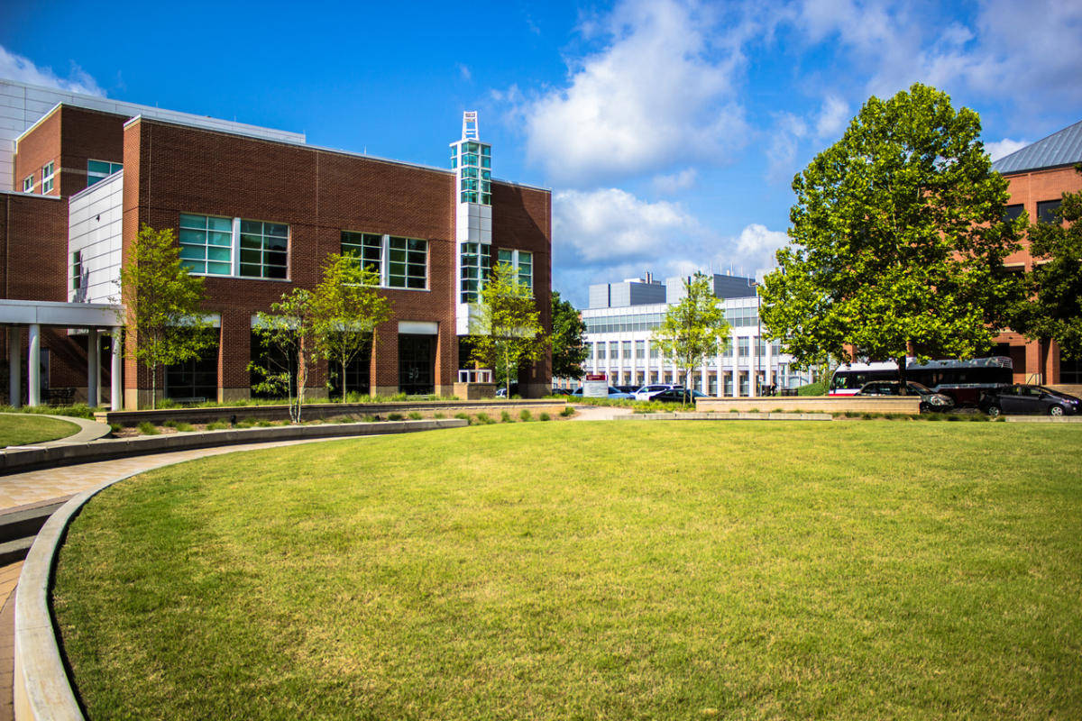 北卡羅來納州立大學百年校園綠茵草地 壁紙 — 一座現代磚砌大學建築，配有玻璃窗，矗立在明亮的藍天下，白雲朵朵，周圍環繞著綠色草坪和樹木。