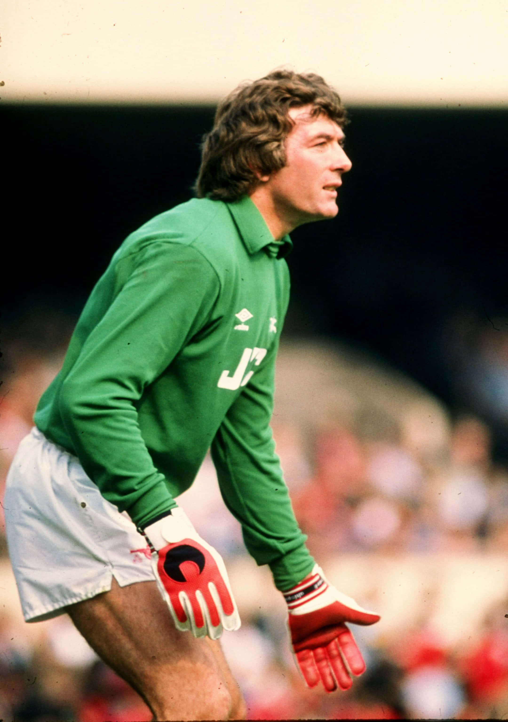 北愛爾蘭足球員 Pat Jennings 穿綠色球衣側面照 壁紙 — 一位身穿綠色球衣和紅色手套的復古足球守門員，在陽光明媚的球場上專注地蹲伏，背景是模糊的觀眾。