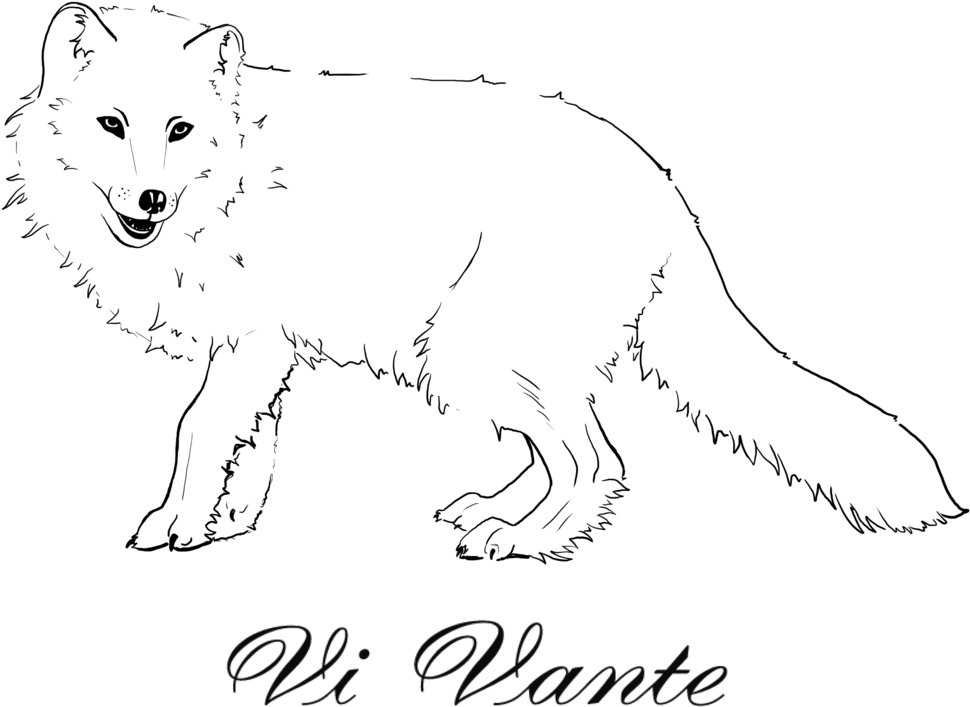 北極狐素描 壁紙 — 極簡黑色背景，底部有模糊的草書文字 Vi Vante。