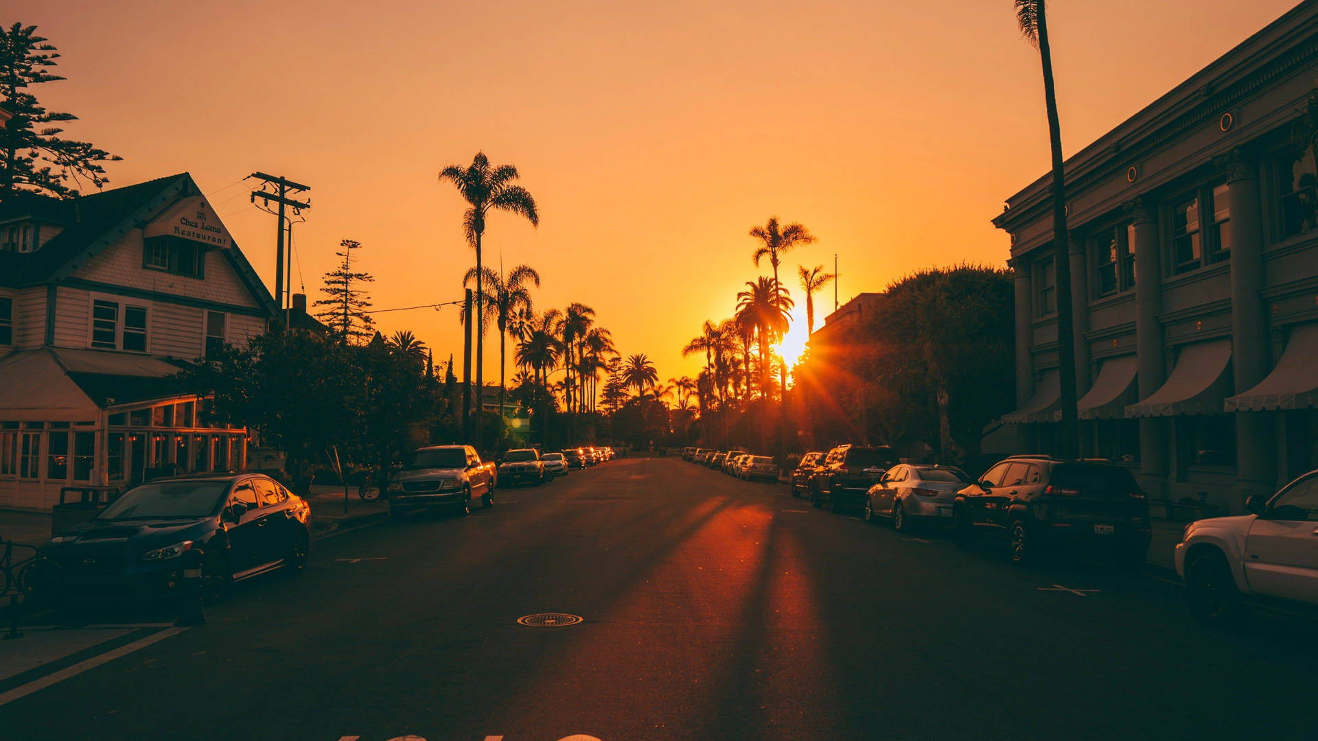夕陽下的棕櫚樹街道，有停泊的汽車和建築