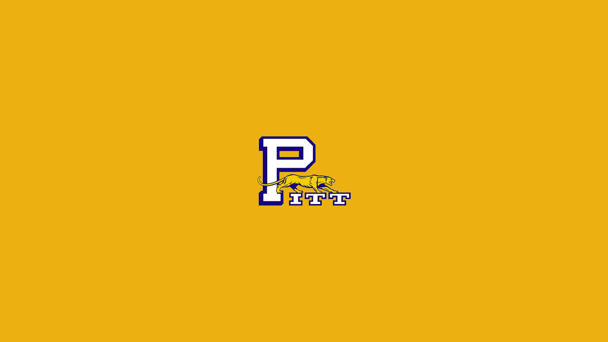 匹茲堡大學 Pitt Panther 壁紙 — 一個大膽的Pitt Panthers標誌，在純金色背景上，一個大的白色P下方有一隻跳躍的黃色黑豹。