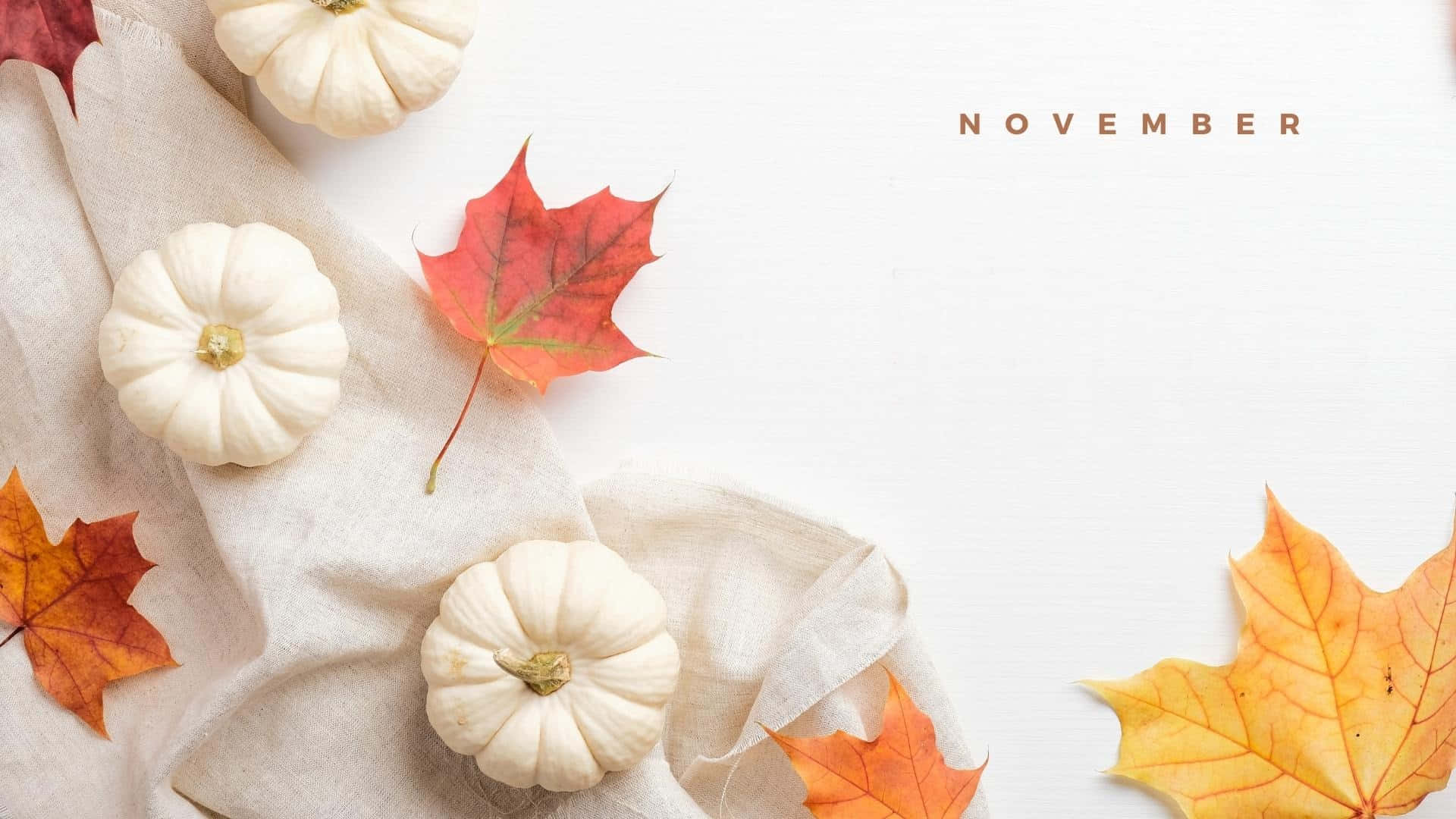 白色南瓜和色彩繽紛的秋葉排列在米色布上，帶有「November」文字。