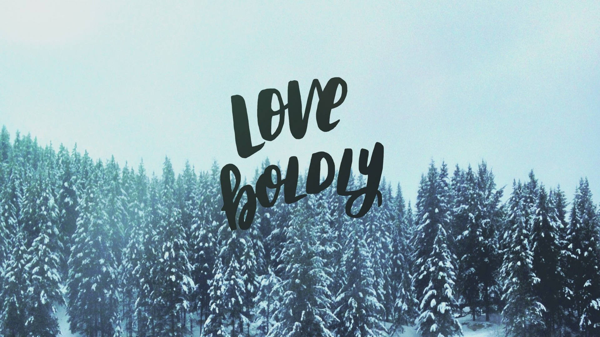 積雪的松樹，黑色字體寫著 love boldly。