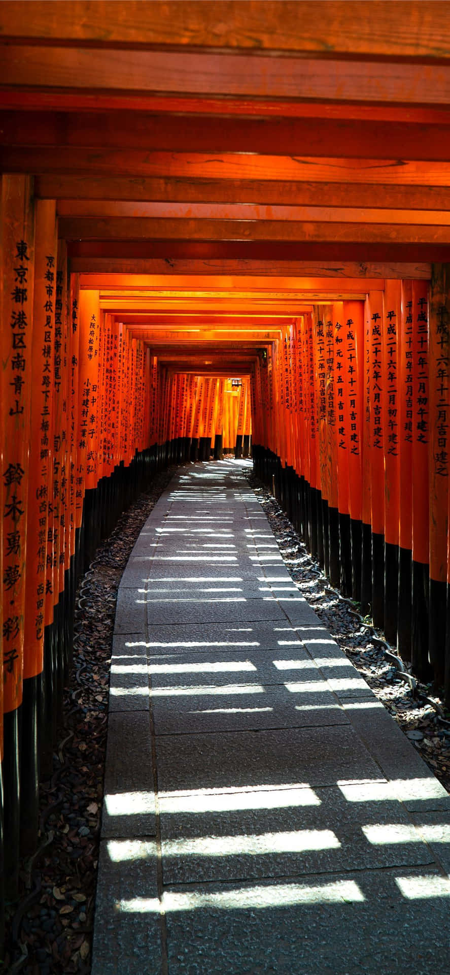 一條由紅色鳥門組成的長路，陽光在石鋪路上投下陰影。