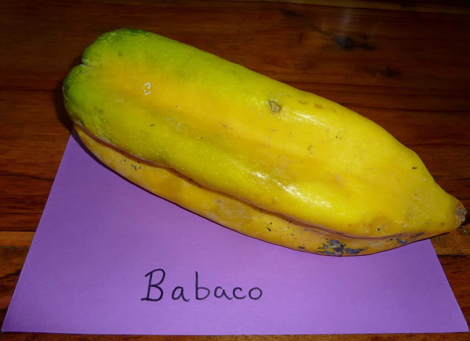 木桌上紫色標籤上的一個成熟babaco果實。