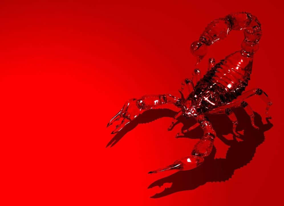 Red Scorpion 桌布 壁紙 — 半透明嘅紅色蠍子雕塑喺純紅色背景上投下清晰嘅陰影。