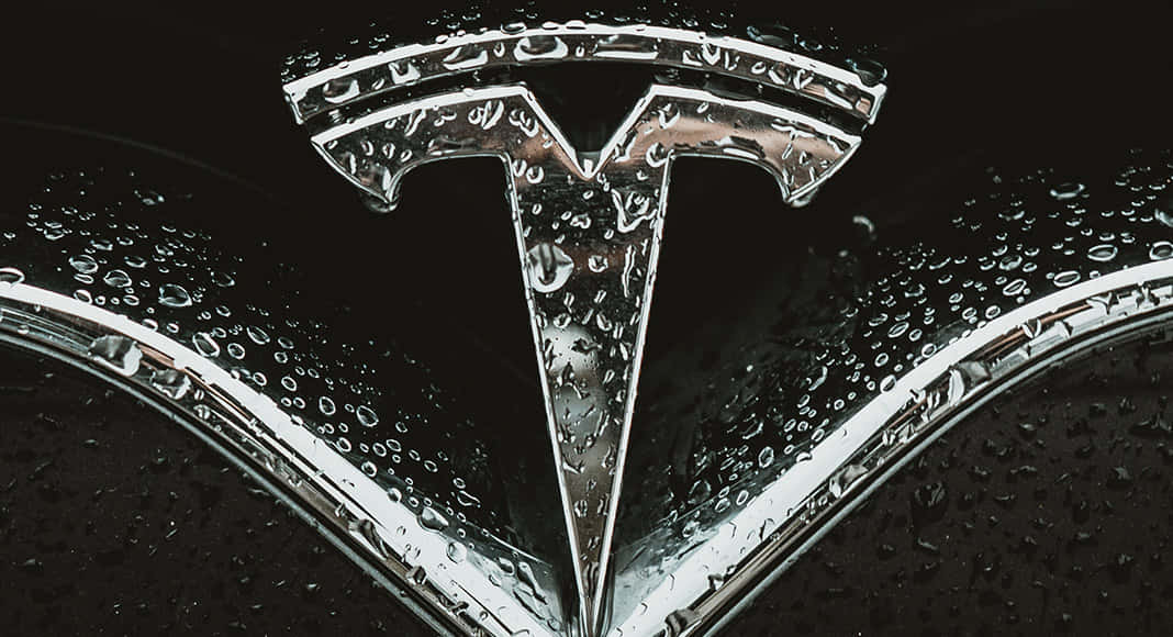 濕潤車頭蓋上嘅Tesla標誌，帶有雨滴