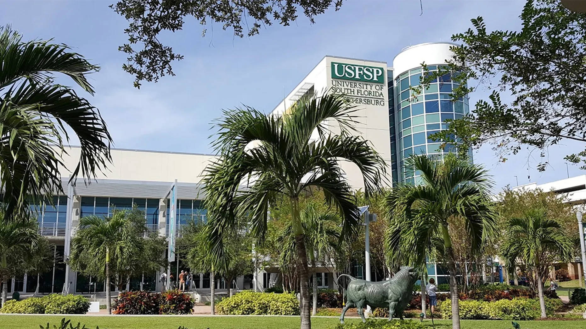 南佛羅里達大學聖彼得堡分校的壯麗建築 壁紙 — 現代大學校園，設有玻璃塔和棕櫚樹，在明亮的藍天下。