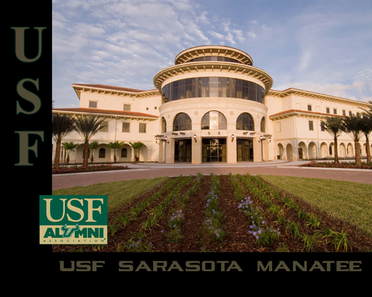 USF Sarasota Manatee 校友樓，日落時分，棕櫚樹和花壇環繞。