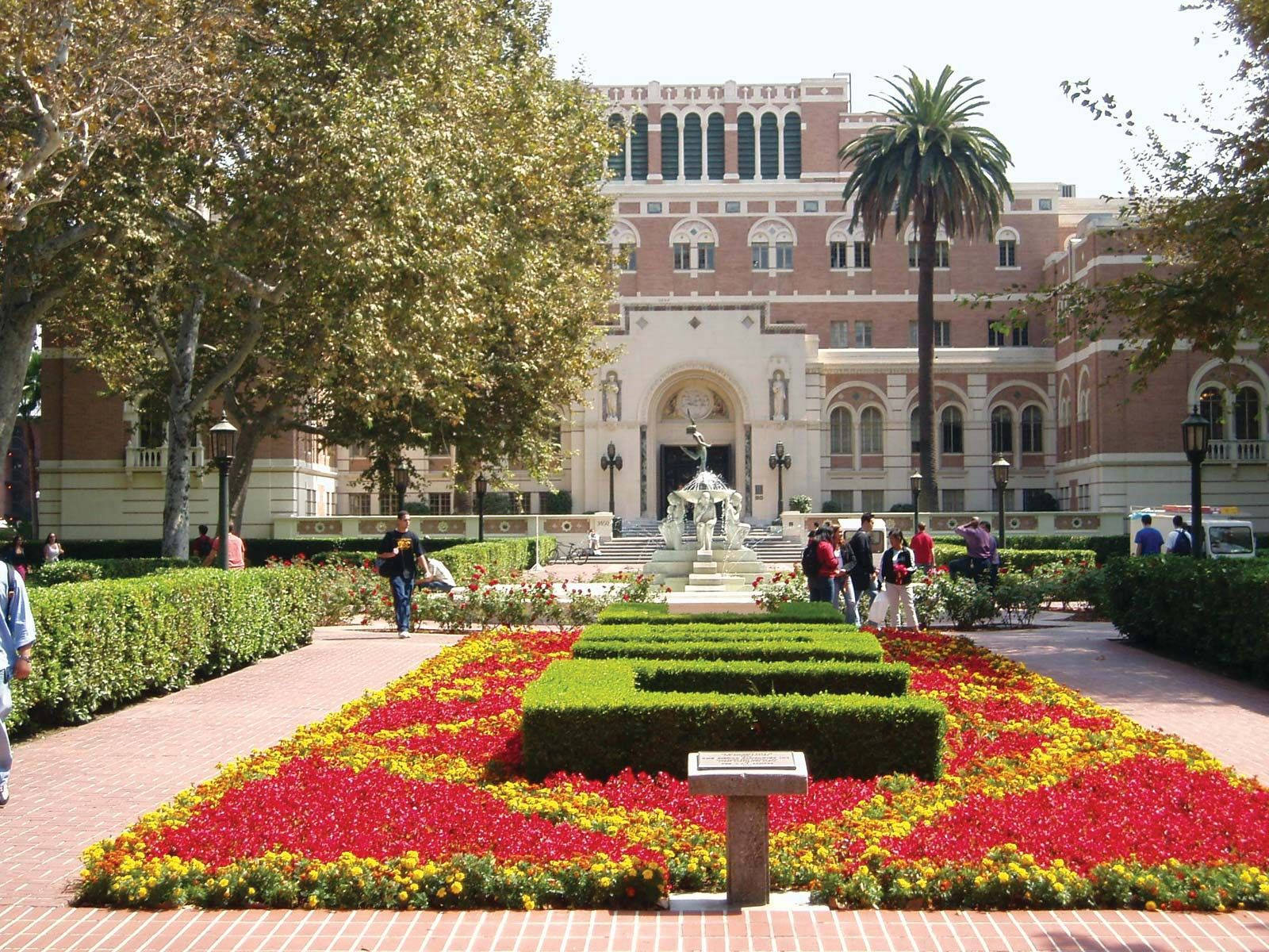 南加州大學多尼紀念圖書館 壁紙 — 一個寬敞的大學庭院中央有一座噴泉，周圍環繞著鮮豔的紅色和黃色花壇以及修剪整齊的樹籬，在明媚的陽光下。