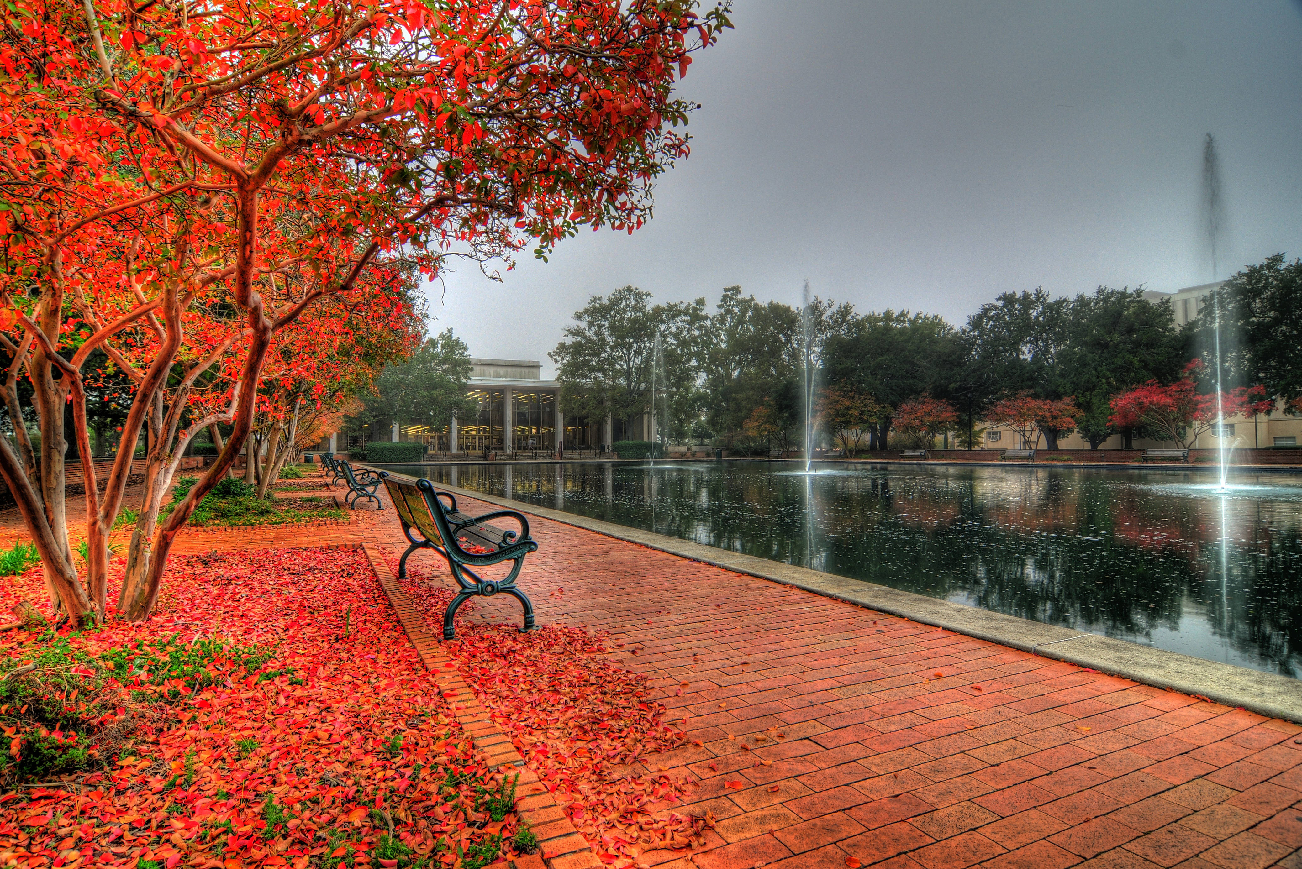 南加州大學秋日風景 壁紙 — 鮮豔的紅葉覆蓋著一條磚砌小徑，旁邊是一個平靜的倒影池，有噴泉，天空多雲。